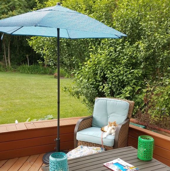 Meet your Posher, Lauren - Picture 4 of 5